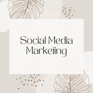 Social-media-marketing-services-in-Delhi-ncr